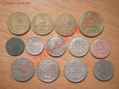 Ранние советы: 13 шт. до 22.08. в 22:00 - P8050900.JPG