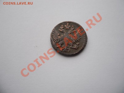 Полушка1737г Красивая монета в коллекцию. - SAM_2080.JPG