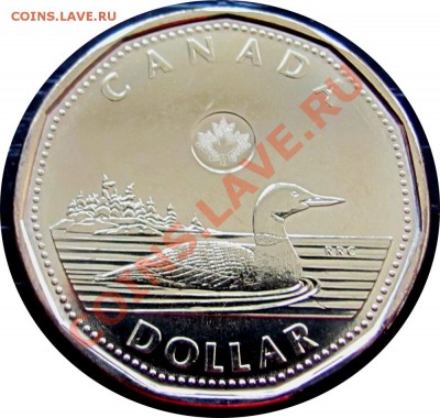 Q91 Канада 1$ 2012 New Generation Loon UNC 27.08 в 22°° - Q91 1$ Canada 2012_1