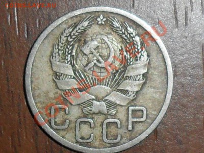 Галерея" перепуток" - SAM_4588.JPG