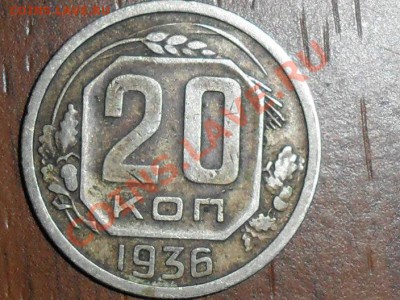 Галерея" перепуток" - SAM_4586.JPG
