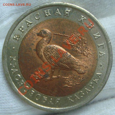 Красная Книга 1992 комплект до 28.08.12 в 22.00 по Москве - казарка.JPG