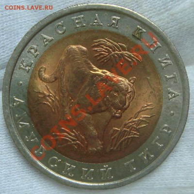 Красная Книга 1992 комплект до 28.08.12 в 22.00 по Москве - тигр (1).JPG