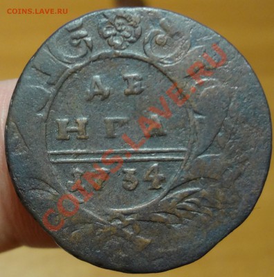 Деньга 1734 г. розетка 4 лепестка? - DSC00835.JPG