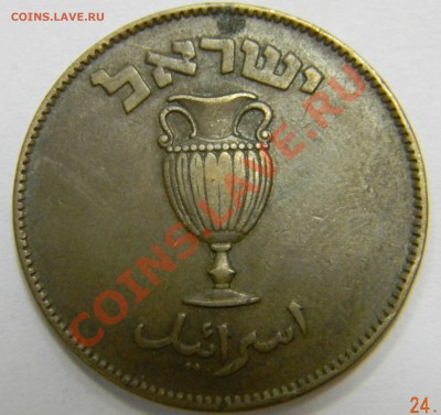 10 прута Израиль - DSCN2095.JPG