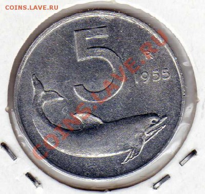 ИТАЛИЯ 5 ЛИР 1955 ДЕЛЬФИН ДО 30.08.12 В 22.00МСК (2770) - img131