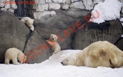 Познакомлюсь с девушкой .... - 14161630.385780.8798