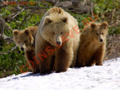 Познакомлюсь с девушкой .... - 5a102b0c3cdbb70e20d3e98def3_prev