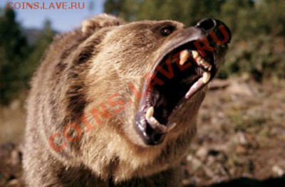 Познакомлюсь с девушкой .... - 234