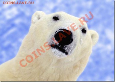 Познакомлюсь с девушкой .... - 513