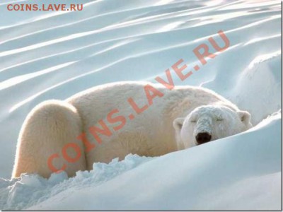 Познакомлюсь с девушкой .... - 682