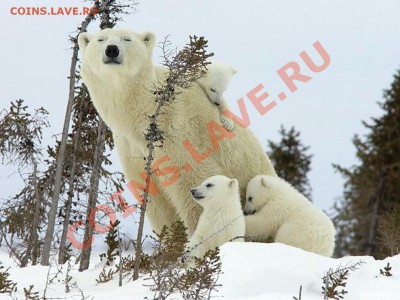 Познакомлюсь с девушкой .... - 193