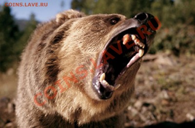 Познакомлюсь с девушкой .... - 234