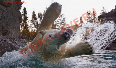 Познакомлюсь с девушкой .... - 492