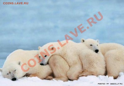 Познакомлюсь с девушкой .... - 529