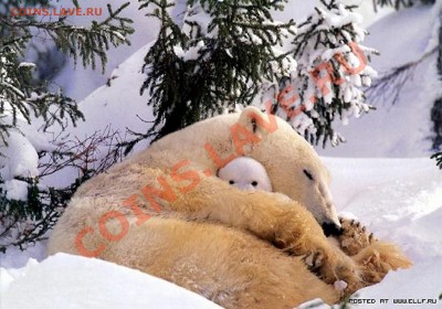 Познакомлюсь с девушкой .... - 345