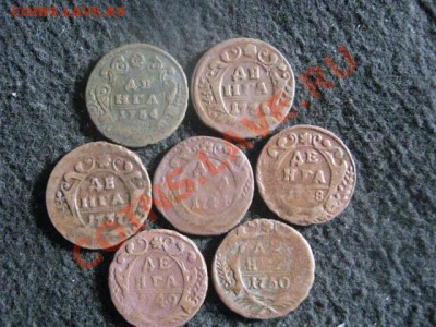 ! Деньга. 7 шт. Без повторов. 1734-1750г.    До 28.08.2012г. - вт 029.JPG