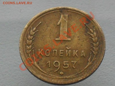оценка - SDC10592.JPG