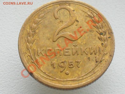 оценка - SDC10605.JPG