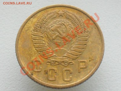 оценка - SDC10607.JPG