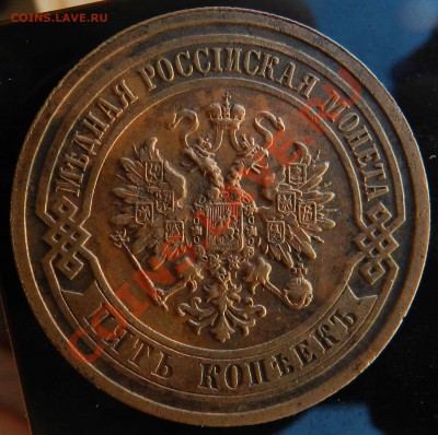 5  копеек    1911   СПБ  (предпродажная) - DSCN3702.JPG