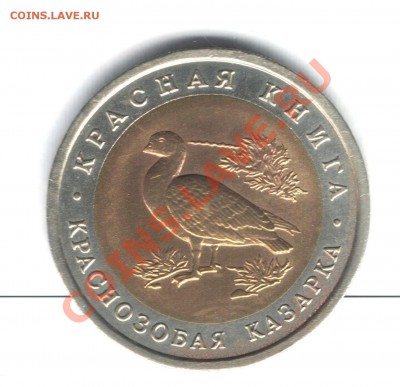Краснозобая казарка 10 руб.Красная книга.До 31.08.2012.22:00 - 1