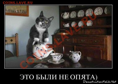 Вопросом на вопрос! - demotivator019