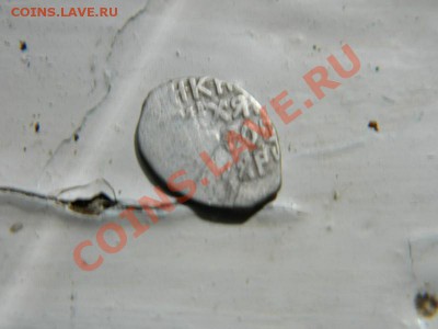 Чешуя на определение и оценку - DSCN0049 (Копировать).JPG