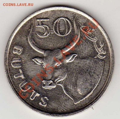 Гамбия 50 бутутов 1998 Бык до 03.09.12 в 22ч (3005) - img322