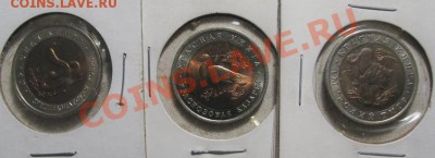 Красная книга  15 монет  Окончание: 4 09 12 в 21 30 м - IMG_3438.JPG