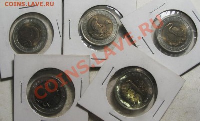 Красная книга  15 монет  Окончание: 4 09 12 в 21 30 м - IMG_3440.JPG