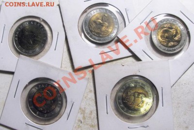 Красная книга  15 монет  Окончание: 4 09 12 в 21 30 м - IMG_3442.JPG