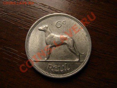 Ирландия 6 пенни 1966 собака до 01.09.12 в 13.00 М - IMG_3087