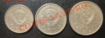 Ходячка СССР и России - DSC02720