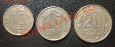 Ходячка СССР и России - DSC02719