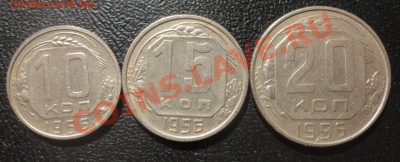 Ходячка СССР и России - DSC02723