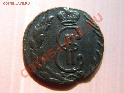 Денга Сибирь 1771 км. - DSCN1971[2].JPG