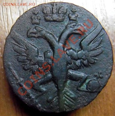 Денга 1731 "пьяный орёл" - DSCF3640.JPG