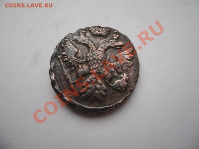 Денга1741 - SAM_2133.JPG