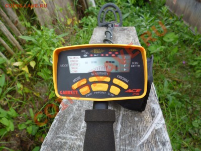 Продам Garrett Ace 250. Бонус + компас в подарок! - P1010249.JPG