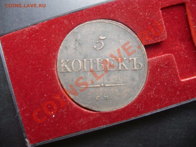 5к.1835см - P7030217.JPG