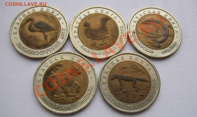 Красная книга 91, 93. 92-амурский тигр - к к93