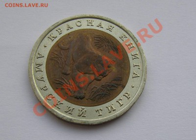 Красная книга 91, 93. 92-амурский тигр - Амурский тигр
