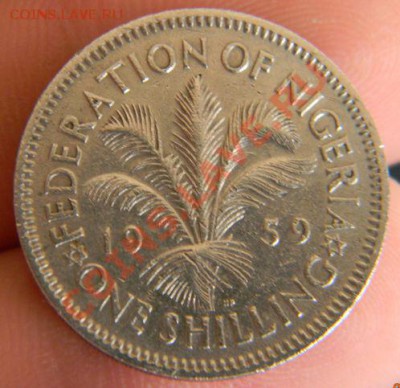 шиллинг Нигерия 1959г. - DSCN2276.JPG