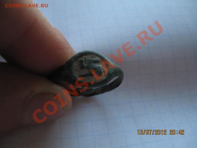 коловратик - IMG_0995.JPG