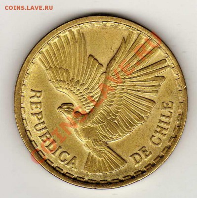 Чили 10 сентесимо 1970 Кондор до 10.09.12 в 22.00мск (2888) - img565
