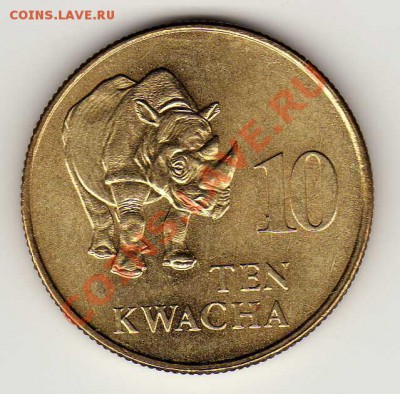 Замбия 10 квача 1992 Носорог до 10.09-22ч (3005) - img609