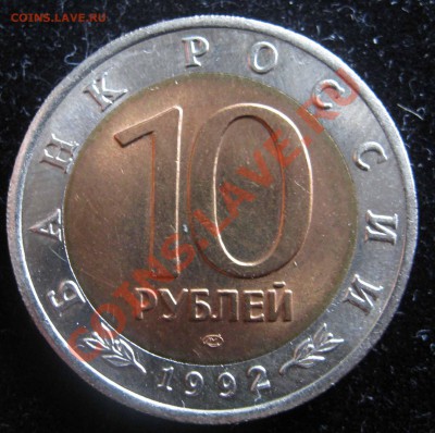 Краснозобая казарка 1992г до 13.09.2012 - IMG_0139.JPG