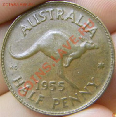 2 пенни Австралия 1955г. - DSCN2339_thumb