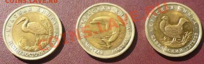 Красная книга 1993 год - набор 5 монет до 15.09.12 - КК1993-1-1